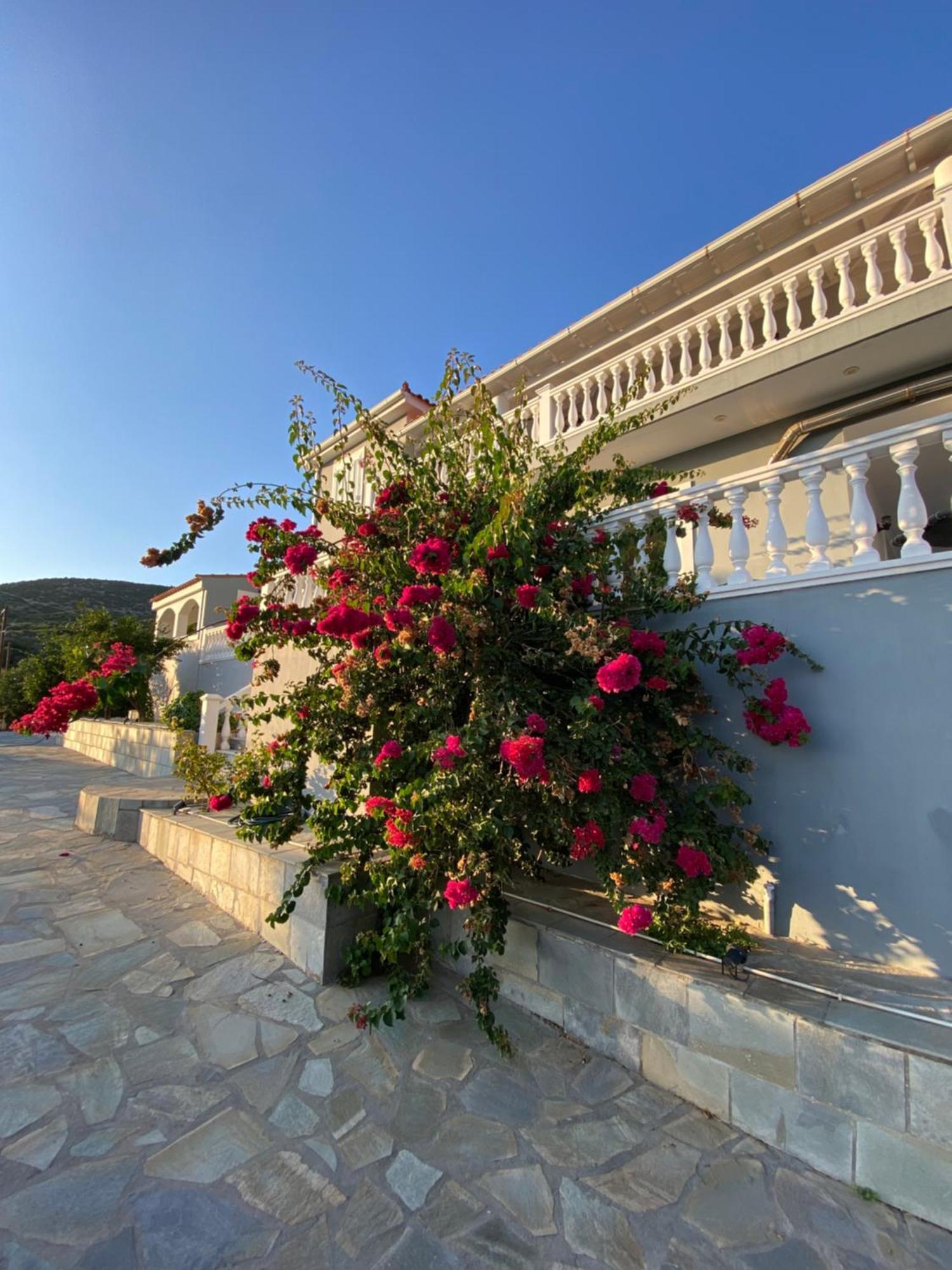 Villa Karras Pythagoreio Exterior photo